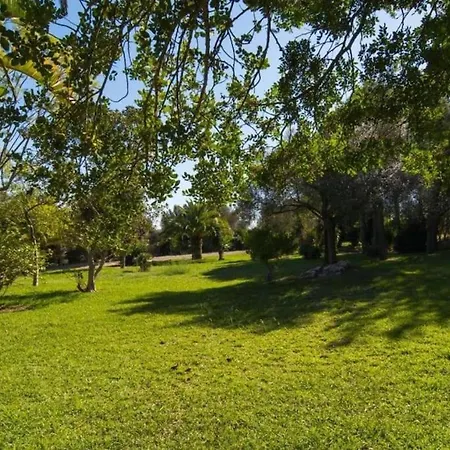 Villa Son Simo D'alt