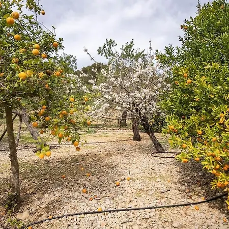 Villa Son Simo D'alt Alcudia (Mallorca)
